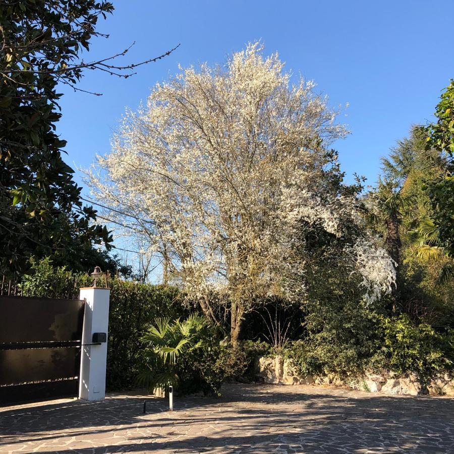 Casa Gramapa Villa Rocca Priora  Buitenkant foto